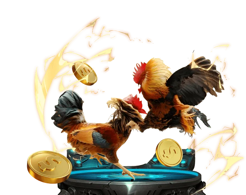 Cá cược thể thao CMD368